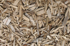 biomass boilers Skinningrove
